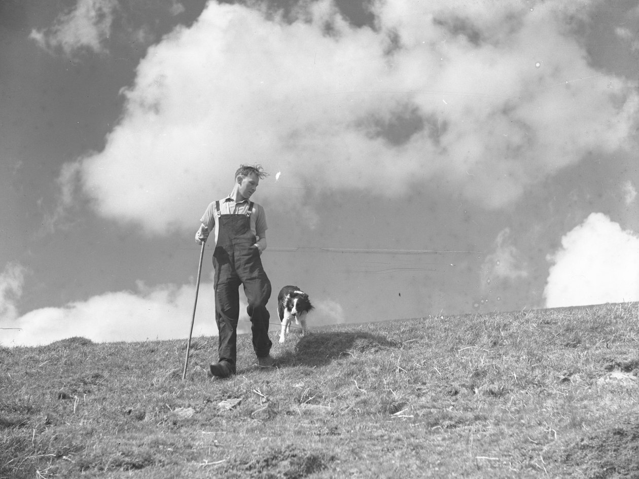 En fårehyrde og hans fårehund på gåtur i Martindale af Joseph Hardman