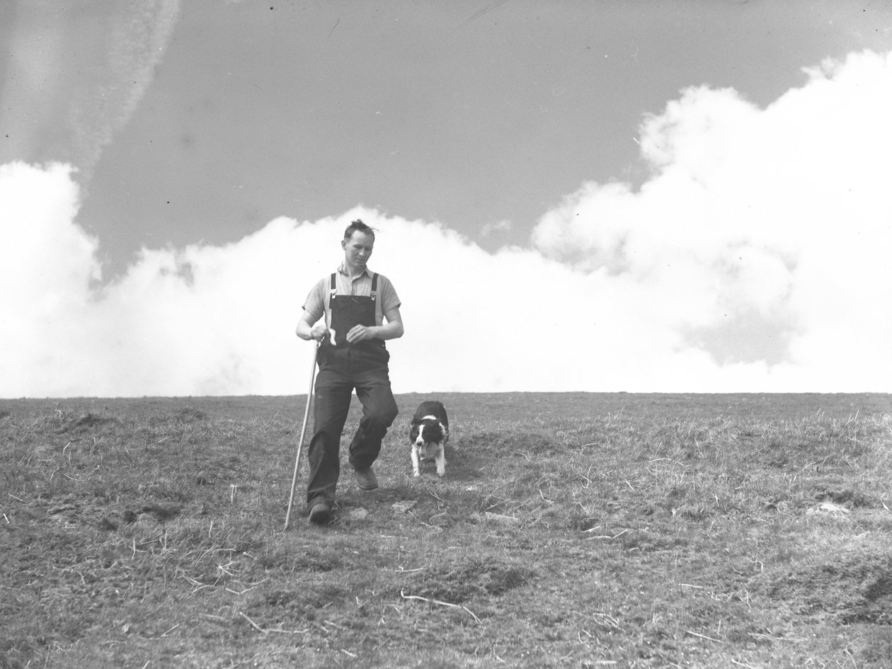 En mand og hans hyrdehund går tur i Martindale af Joseph Hardman