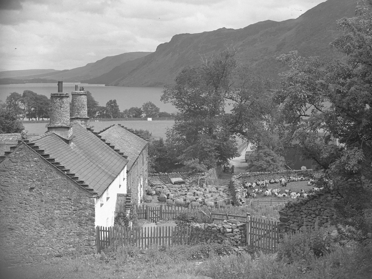 Bondegårdsbygninger med får på gårdspladsen og Ullswater i baggrunden af Joseph Hardman
