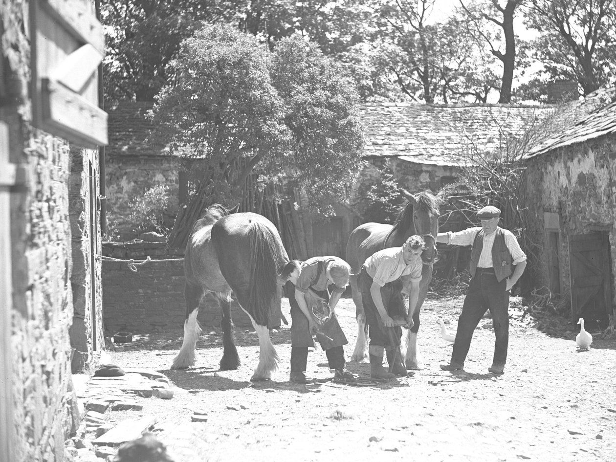 Hovslager skuer hest af Joseph Hardman
