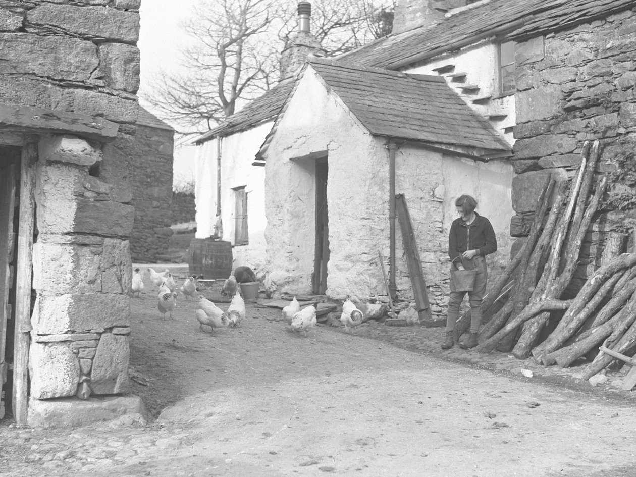 Landpige fodrer fjerkræ på en gård ved Ulpha i Duddon Fells af Joseph Hardman