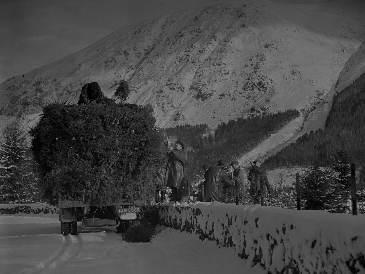 Lastbil fyldt med juletræer på vej ned ad en snedækket vej af Joseph Hardman