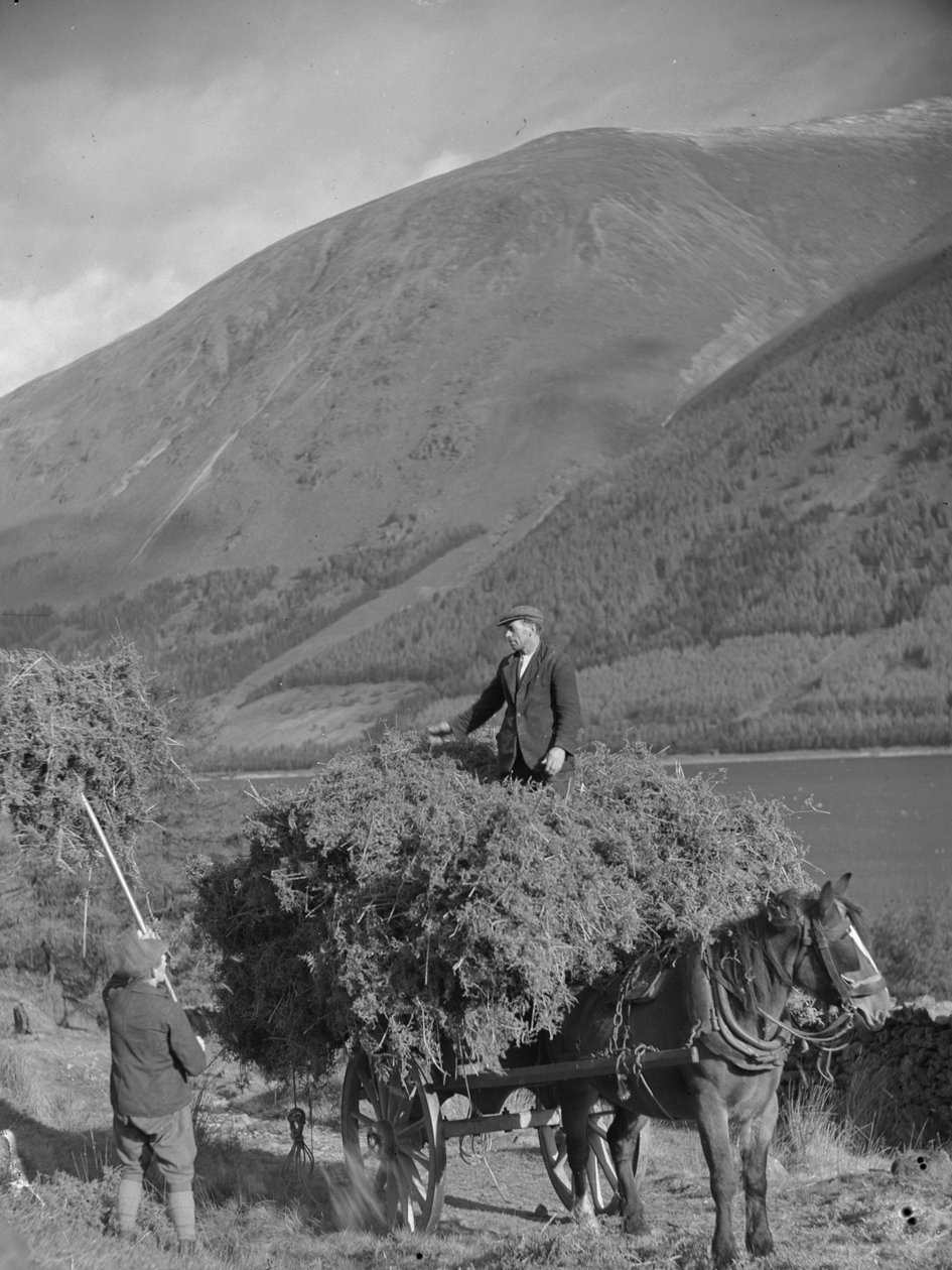 Mand står på toppen af en fyldt bregnevogn, mens en anden læsser mere med en gaffel af Joseph Hardman
