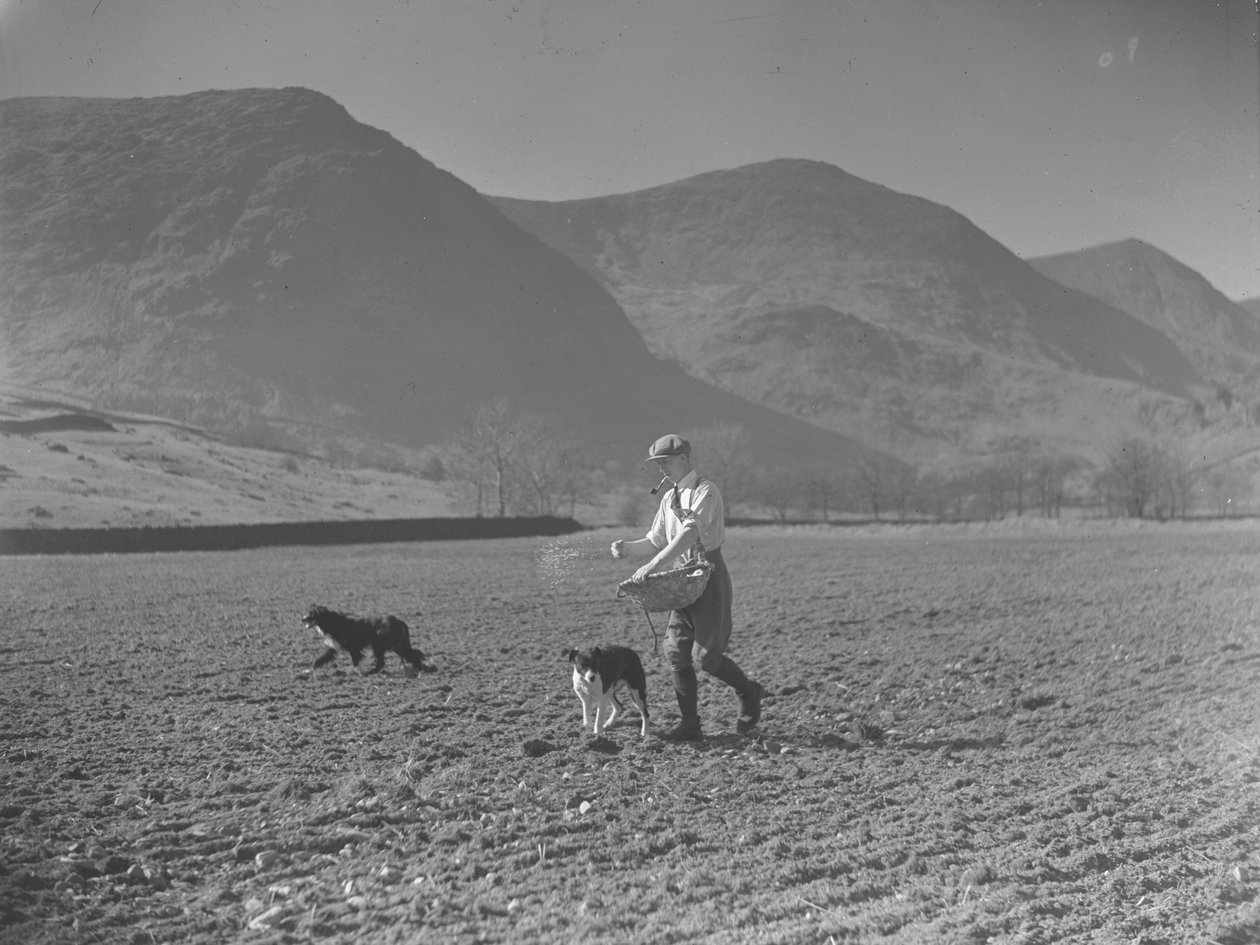 Mand med spildevandskurv og to hunde, der sår frø af Joseph Hardman