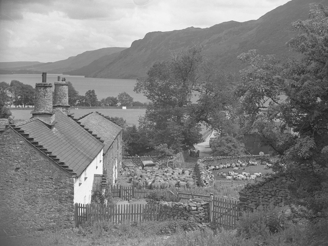 Får på en gård, sø og fjelde i baggrunden af Joseph Hardman