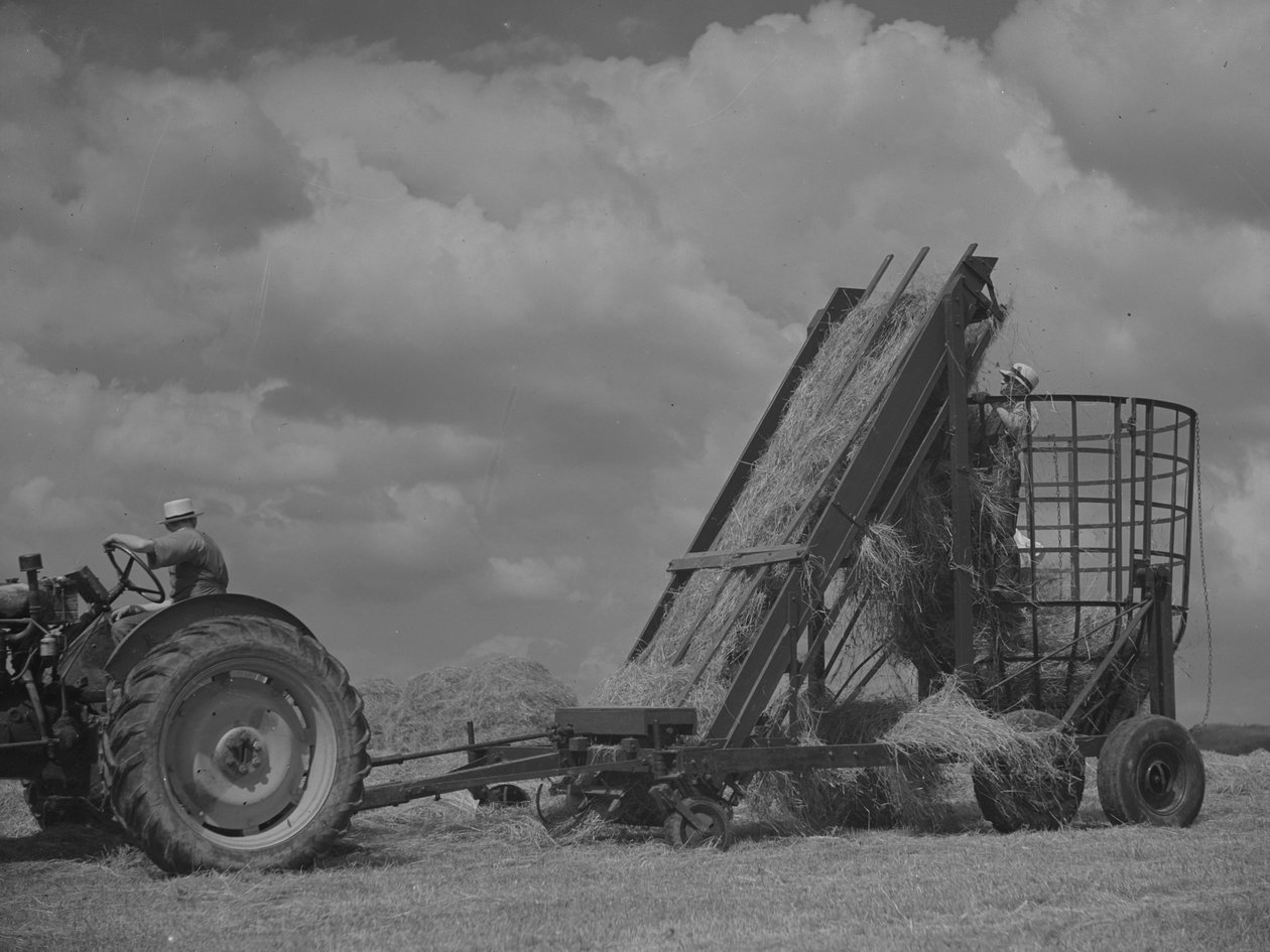 Traktor trækker mobilramme, og der læsses hø på den af Joseph Hardman