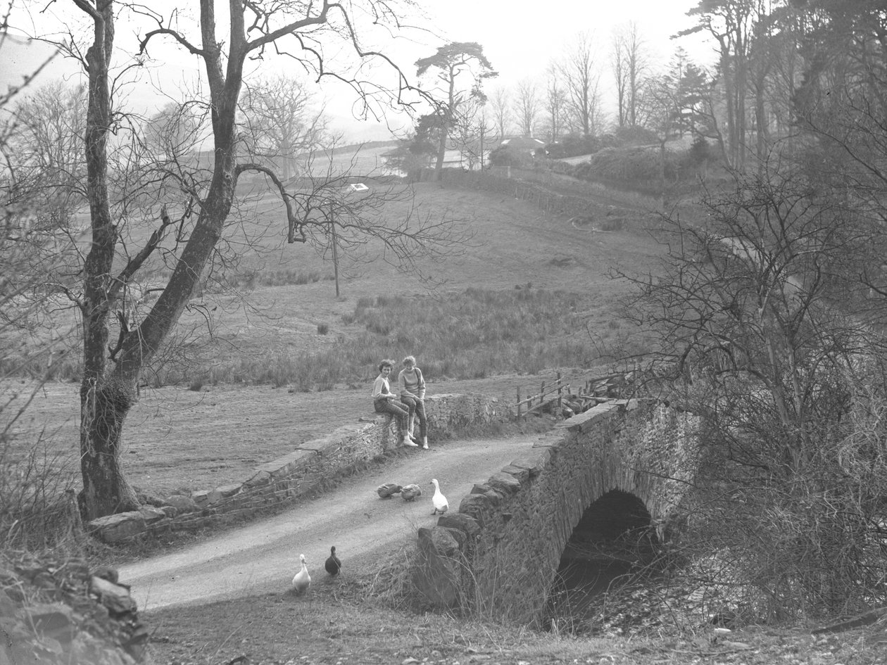 To piger sidder på en stenbro over floden Cocker i bunden af Scale Hill og kigger på gæs på vejen ved Loweswater. af Joseph Hardman