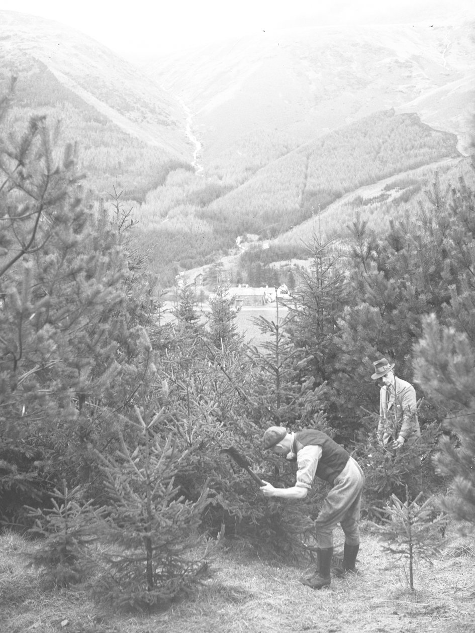 To mænd fælder et juletræ med en økse med Thirlmere i baggrunden af Joseph Hardman