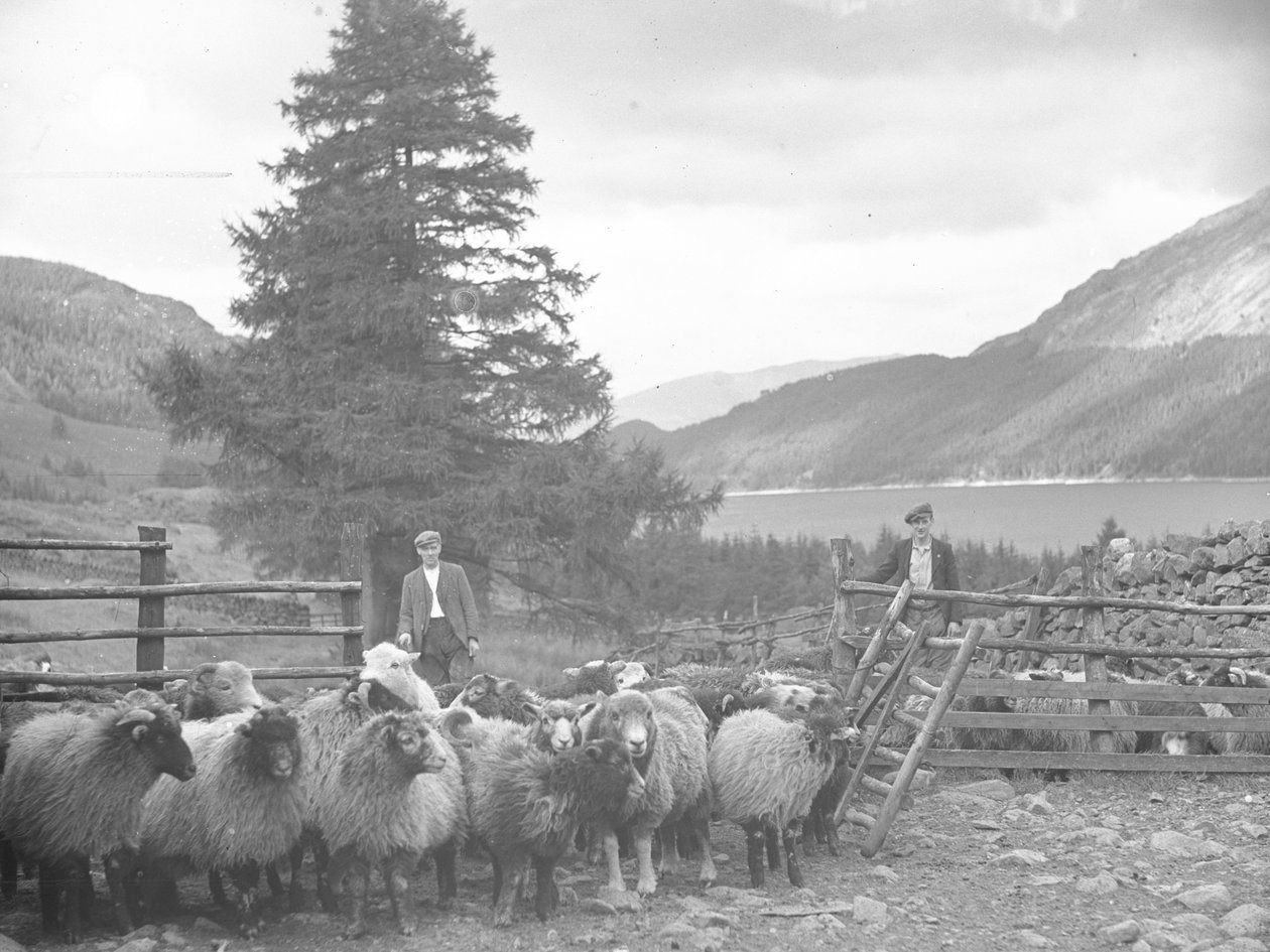 To fårehyrder med en fåreflok og Thirlmere bagved af Joseph Hardman