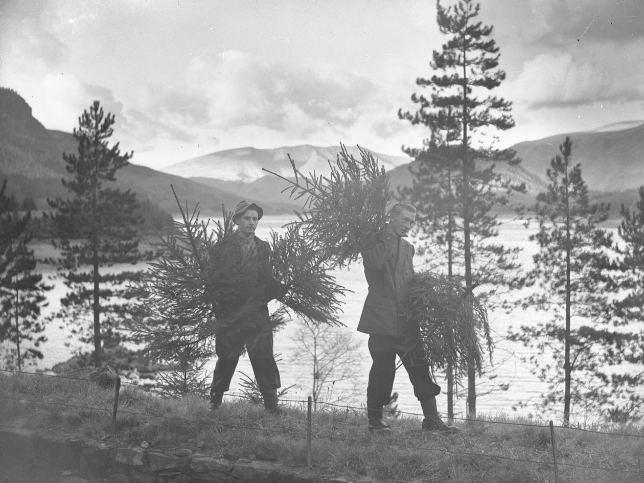 To unge mænd bærer små juletræer på bredden af Thirlmere af Joseph Hardman
