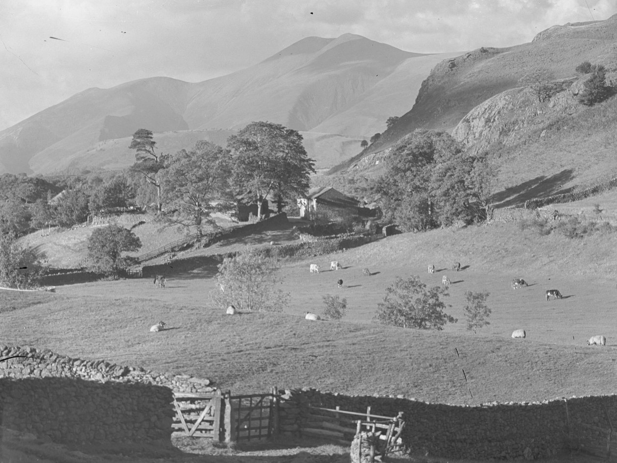 Udsigt over marker til gård ved Thirlmere med får og køer af Joseph Hardman
