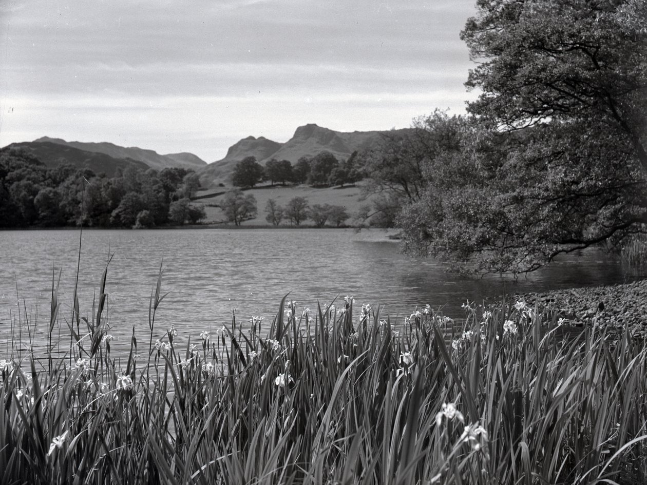Udsigt over Loughrigg Tarn af Joseph Hardman