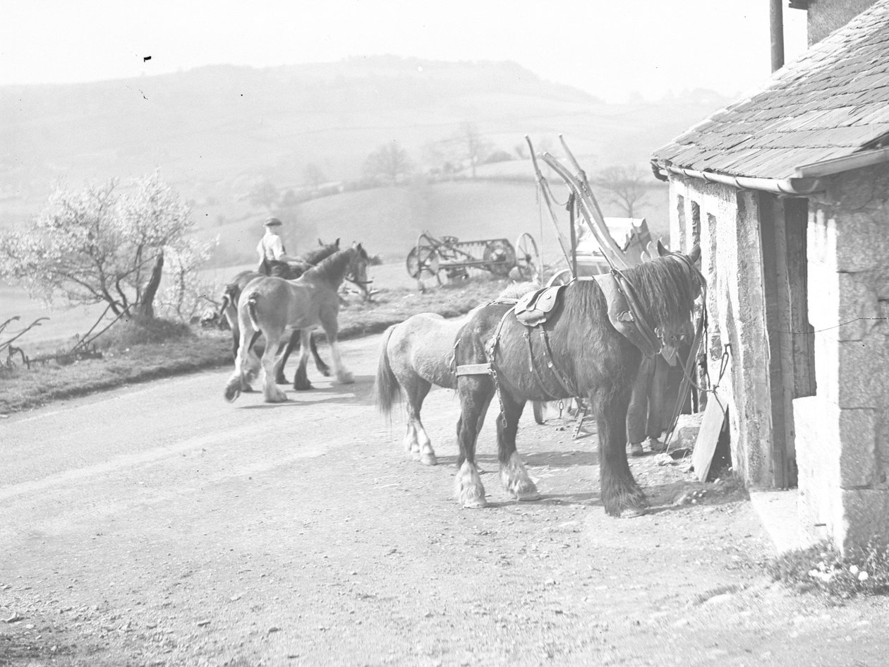 Arbejdsheste uden for Crostwaite Smithy af Joseph Hardman