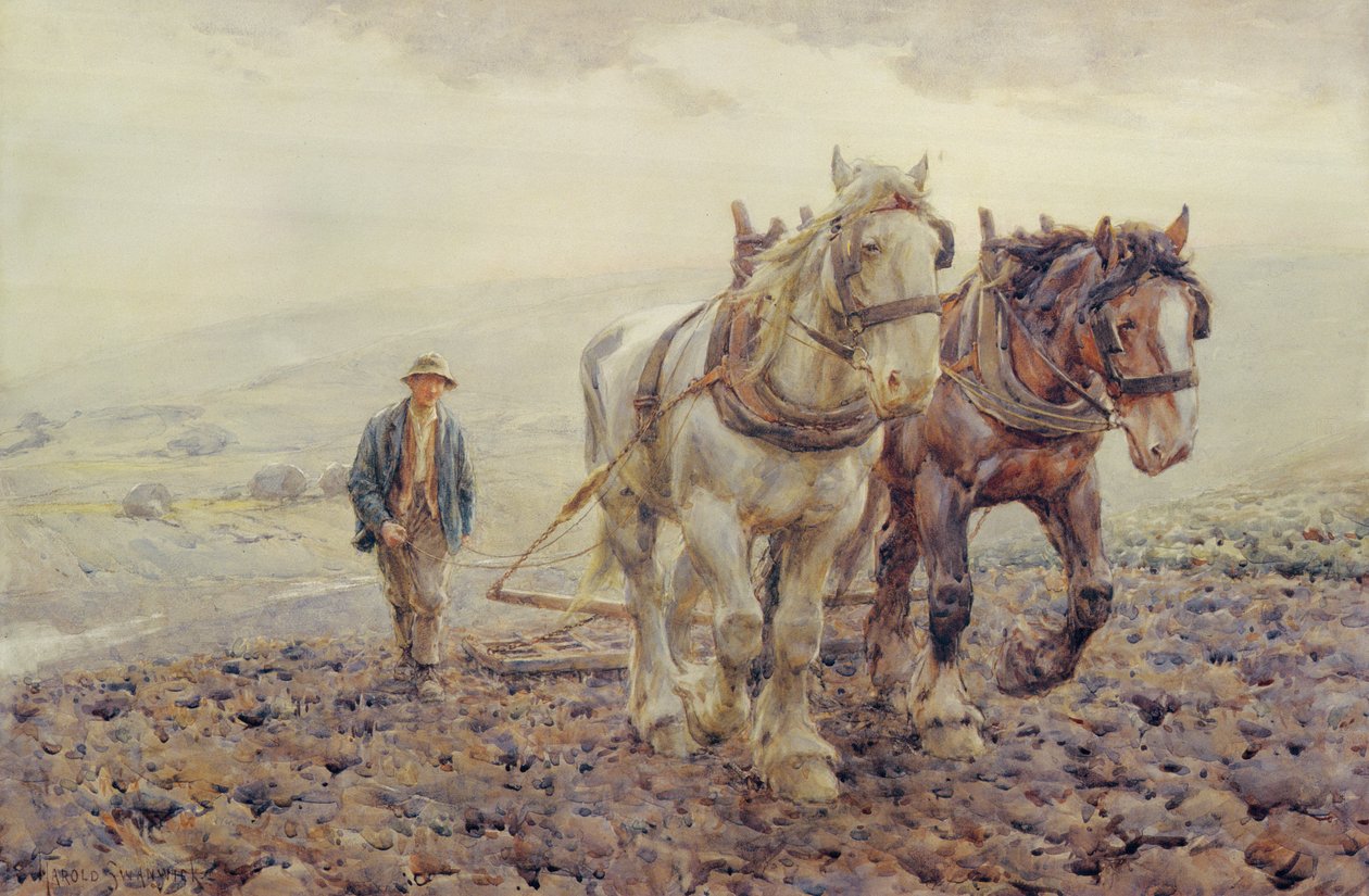 Harvning på South Downs nær Wilmington, Sussex, af Joseph Harold Swanwick