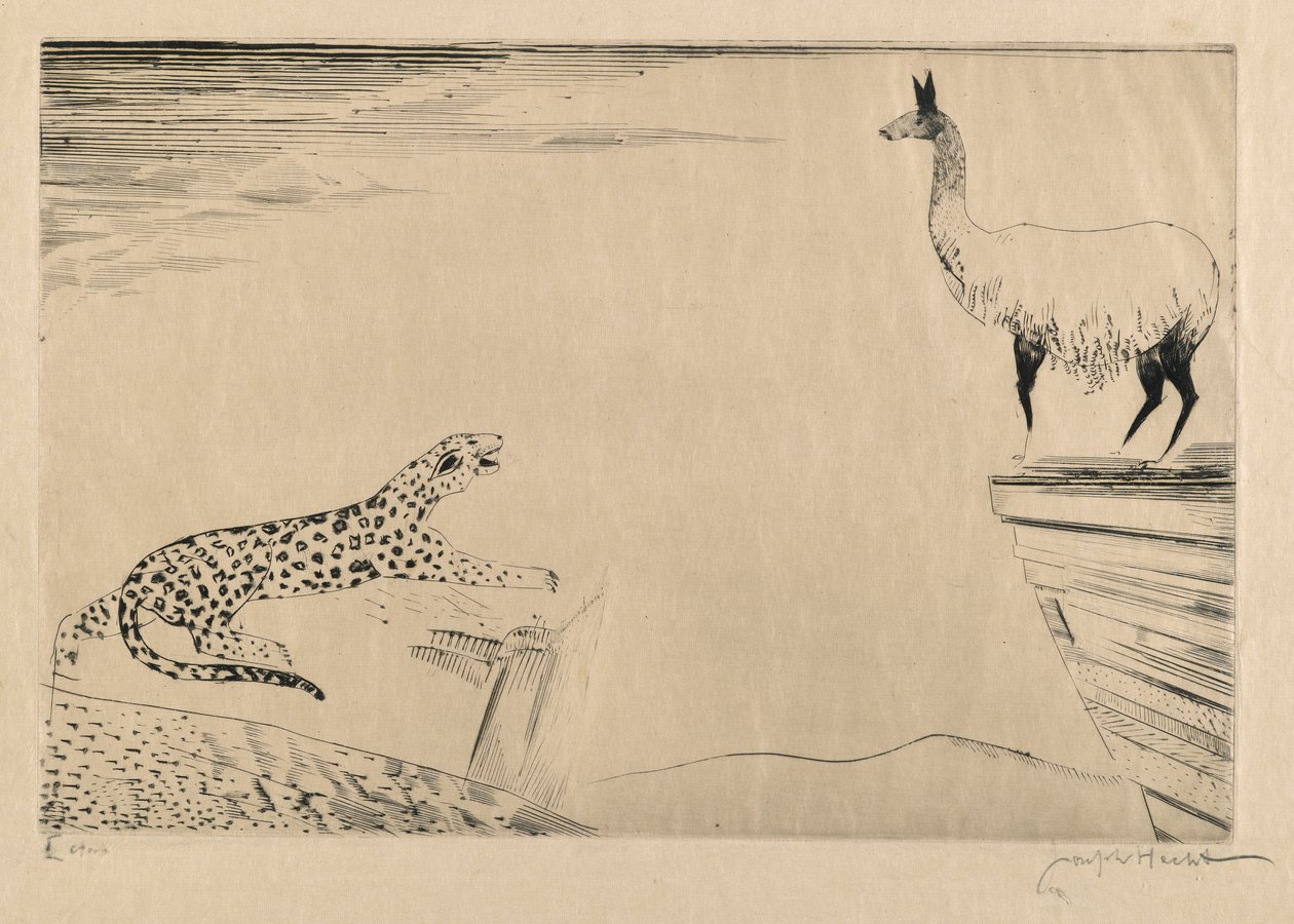 Jaguar og Lama af Joseph Hecht