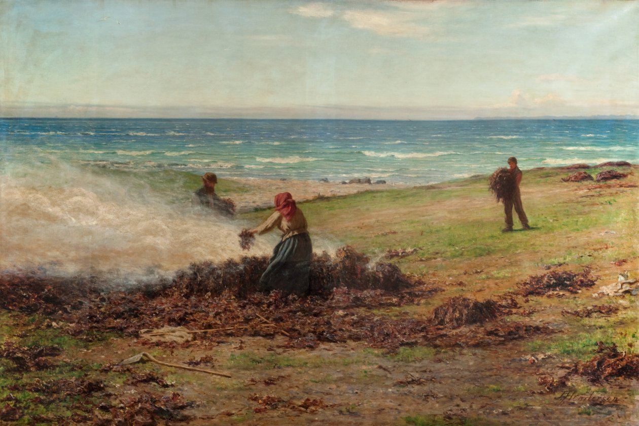 Kelp Burning (olie på lærred) af Joseph Henderson