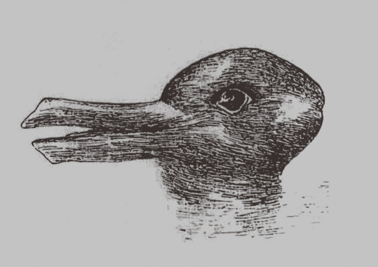 And-kanin illusion. Fra: Jastrow, J. Sindets øje. Popular Science Monthly, 1899 af Joseph Jastrow
