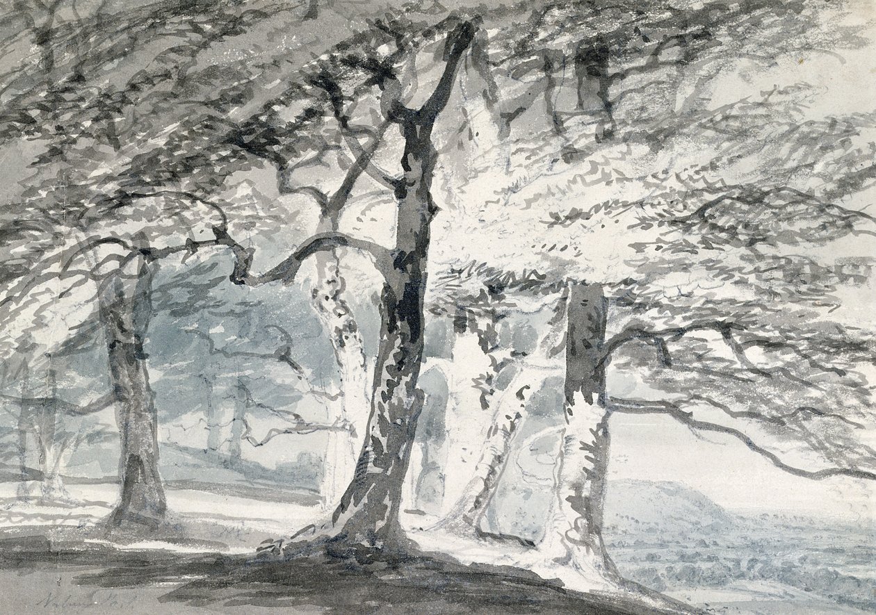 Norbury Park, Surrey (blyant og akvarel på papir) af Joseph Mallord William (attr.to) Turner