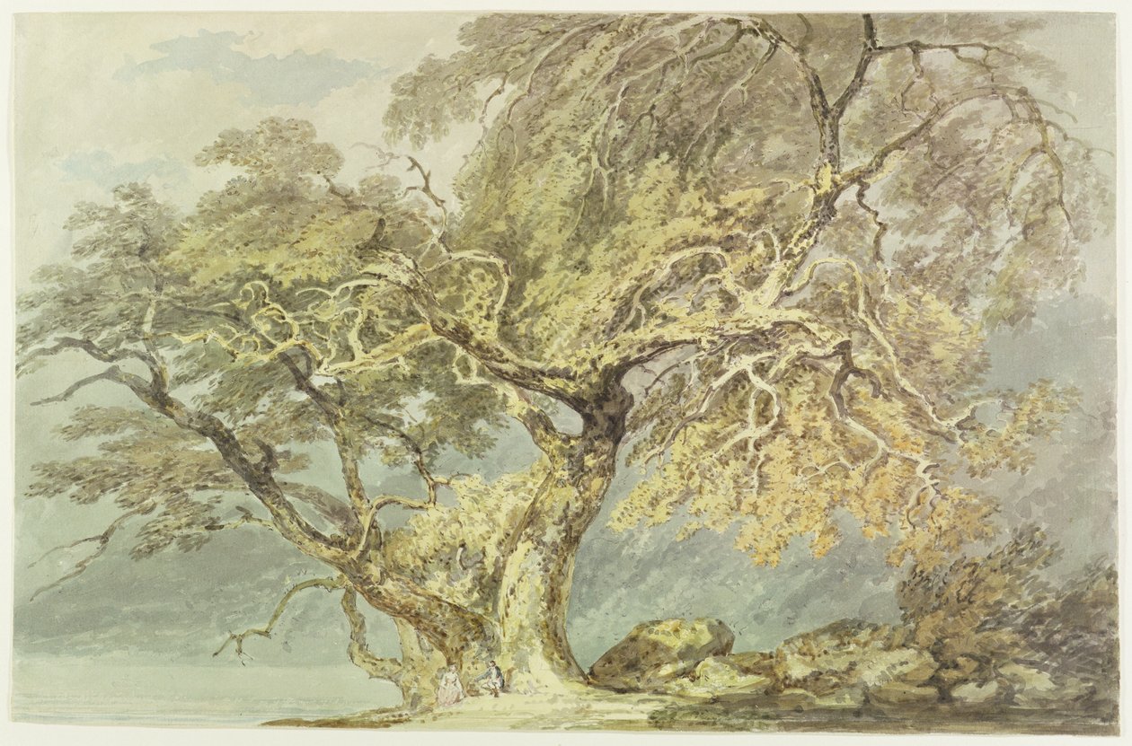 Et stort træ, ca. 1796 (wc over grafit på papir) af Joseph Mallord William Turner