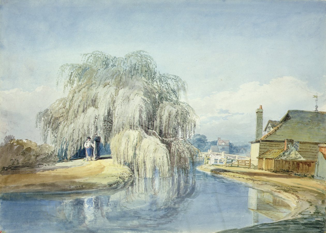 A Weeping Willow (akvarel på papir) af Joseph Mallord William Turner