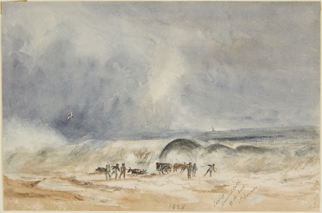 Kørsel af druknede kvæg væk fra stranden, St. Leonards af Joseph Mallord William Turner