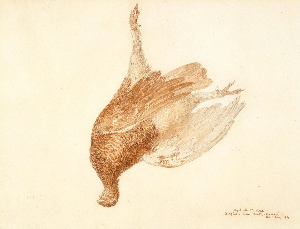 Død urfugl af Joseph Mallord William Turner