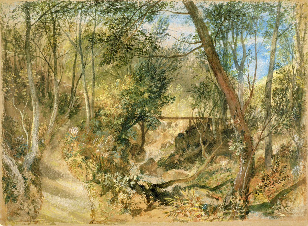 PD.50-1958 The Woodwalk, Farnley Hall, ca. 1818 (wc og gouache) af Joseph Mallord William Turner