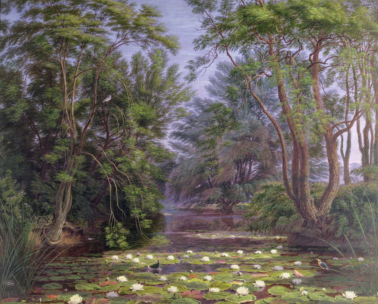 River Cherwell Waterlilies, 1851 af Joseph Mallord William Turner