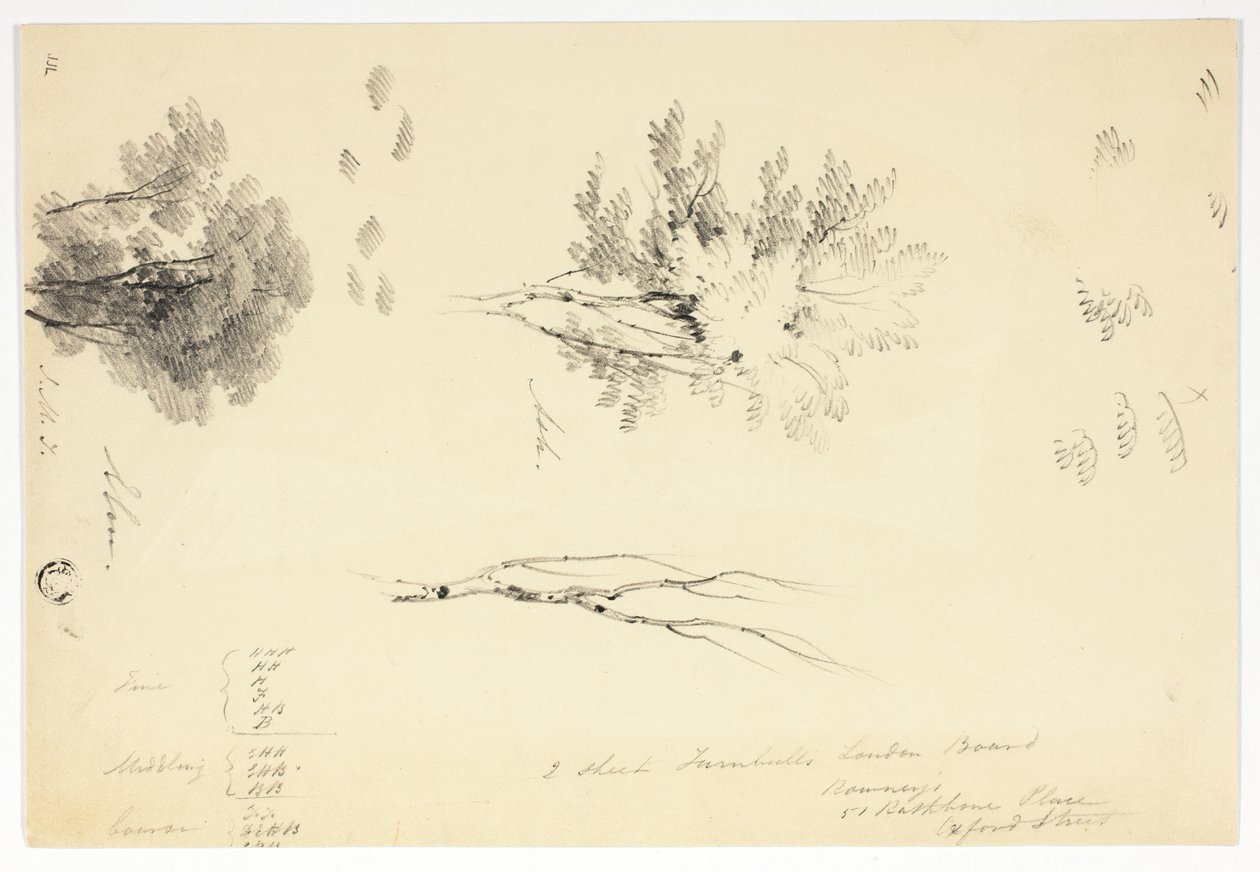 Skitser af elm og ask af Joseph Mallord William Turner