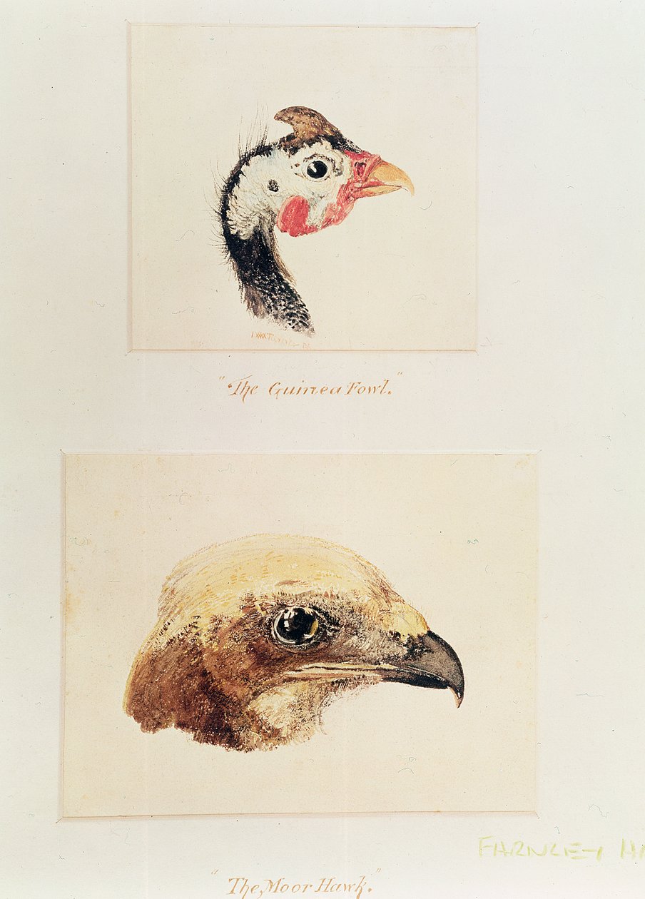 Perlehønen og maurhøgen af Joseph Mallord William Turner