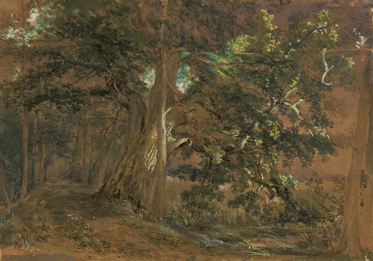 Skovinteriør nær Lundenburg (ahorngruppe ved en bjergsø) af Joseph Martin Höger