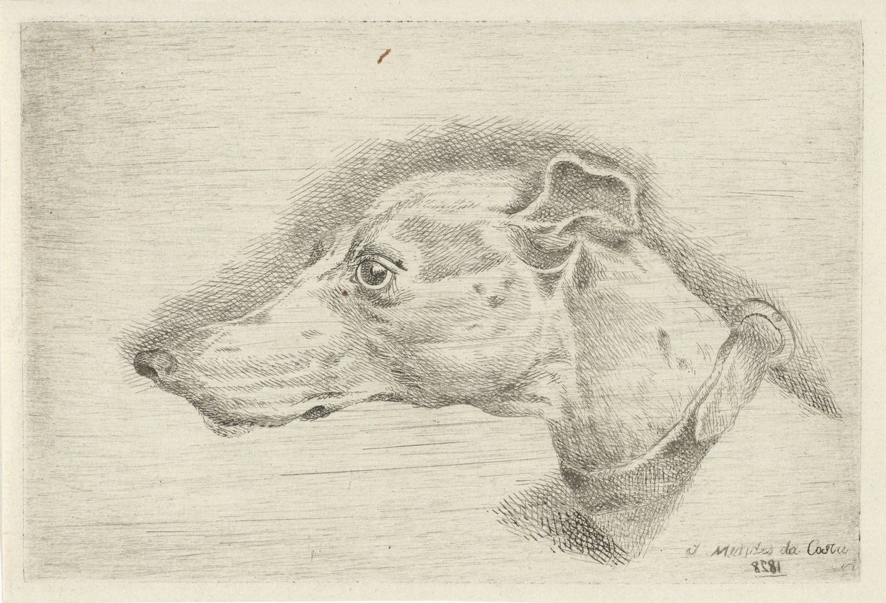 Hoved af en mynde af Joseph Mendes da Costa