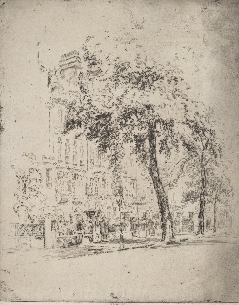 Big Tree, Cheyne Walk, 1906. af Joseph Pennell