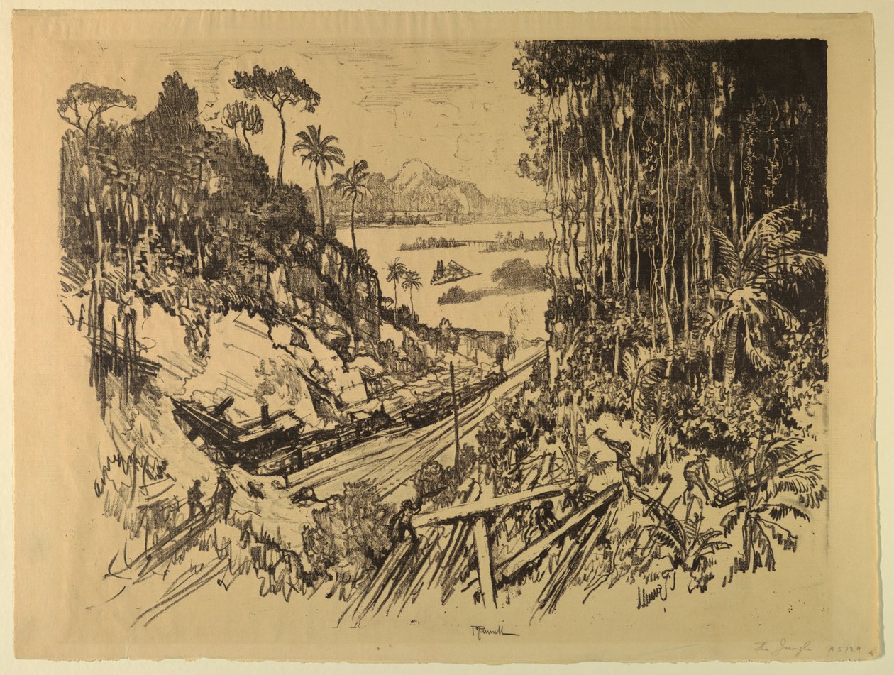 The Jungle: The Old Railroad from the New af Joseph Pennell