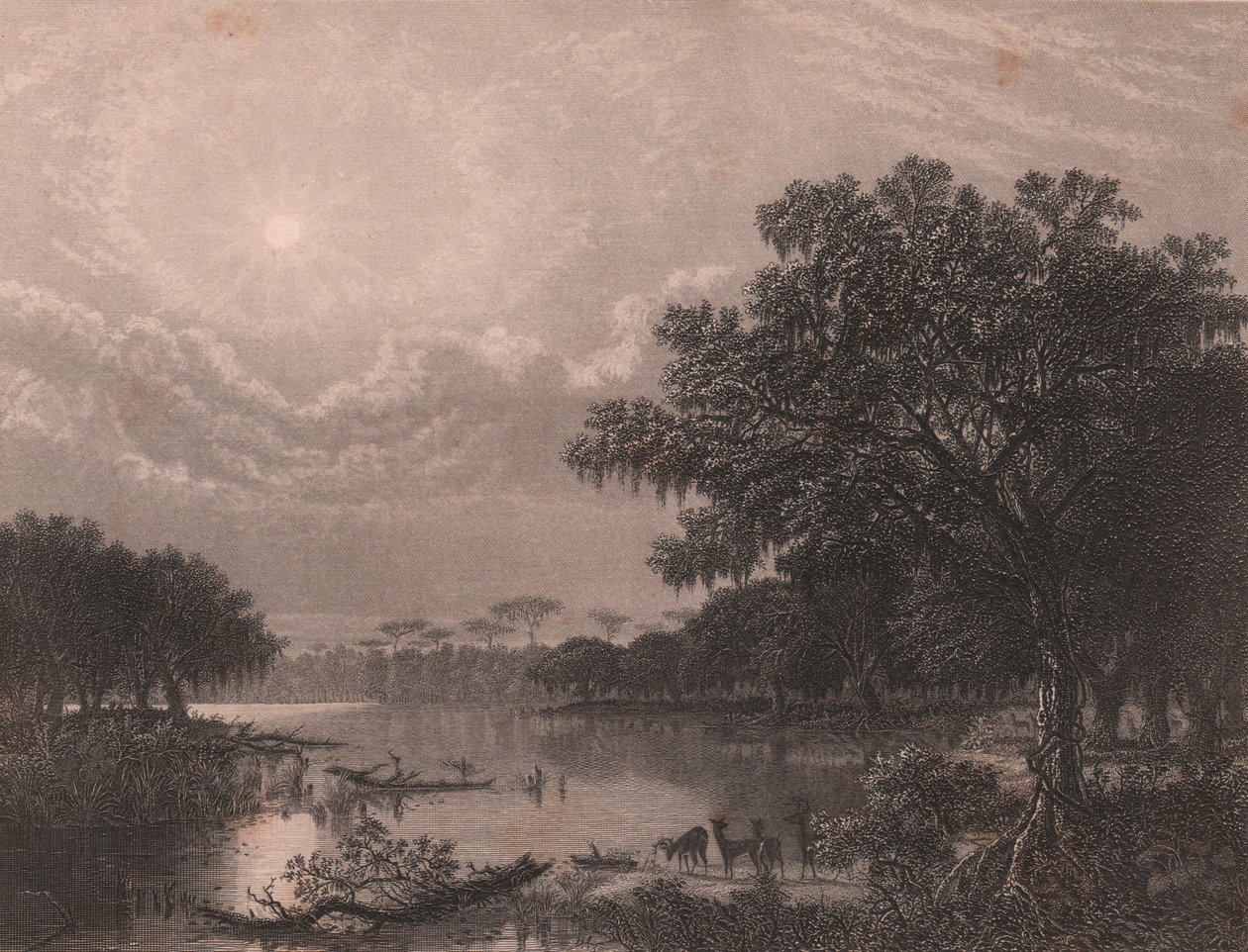 Louisiana Bayou, USA, stålgravering af Robert Hinshelwood (1812-efter 1875) efter maleri af Joseph Rusling Meeker (1827-1889), ca. 16x18 cm af Joseph Rusling Meeker