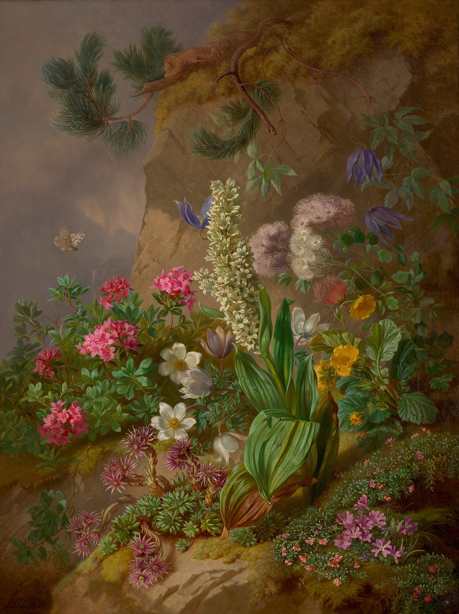 Alpenblumen af Joseph Schuster