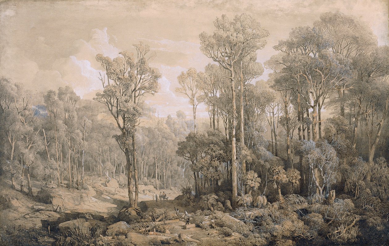 australsk skov af Joseph Selleny