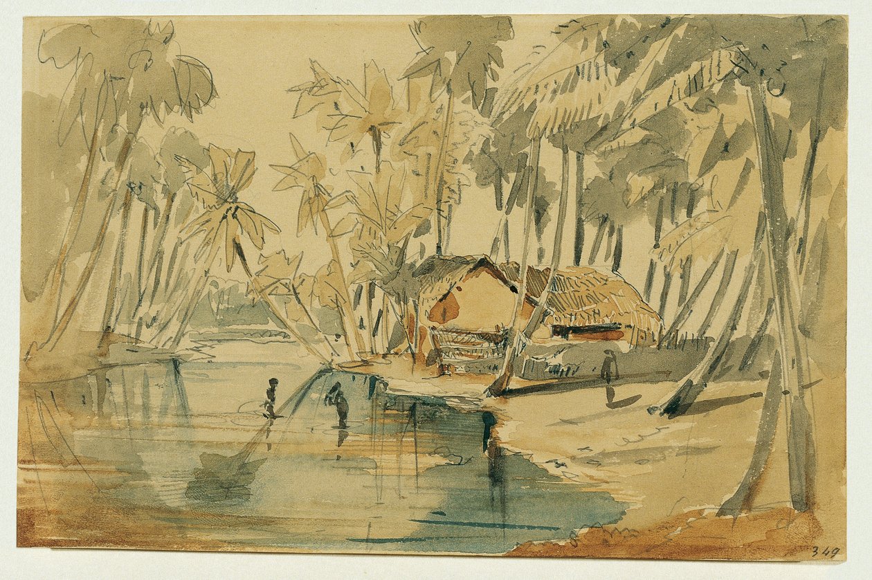 Palmelund i Ceylon (Sri Lanka) af Joseph Selleny