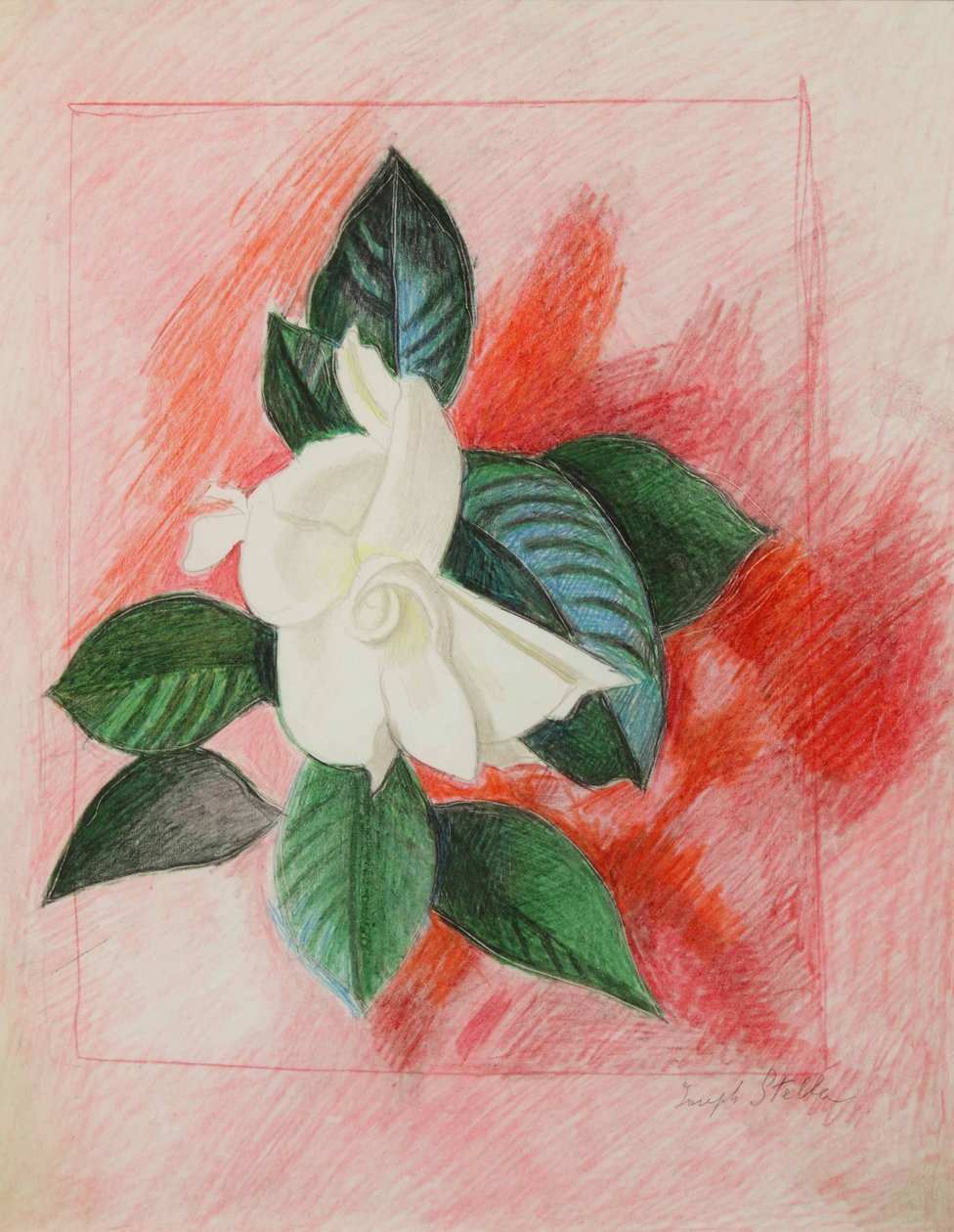 Gardenia, ca. 1940 (farveblyant og grafit på papir) af Joseph Stella