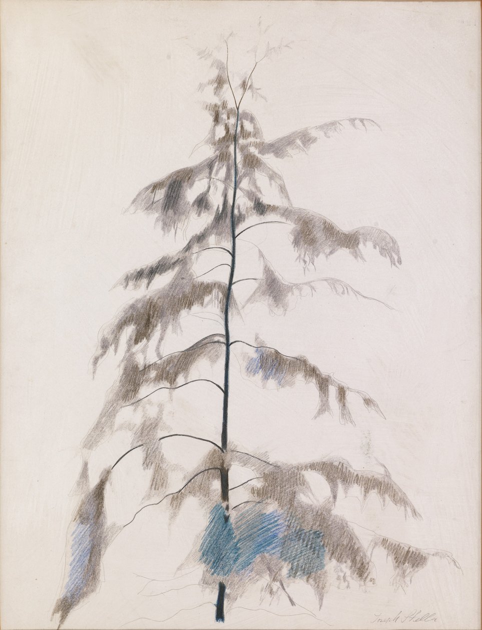 Fyrretræ af Joseph Stella