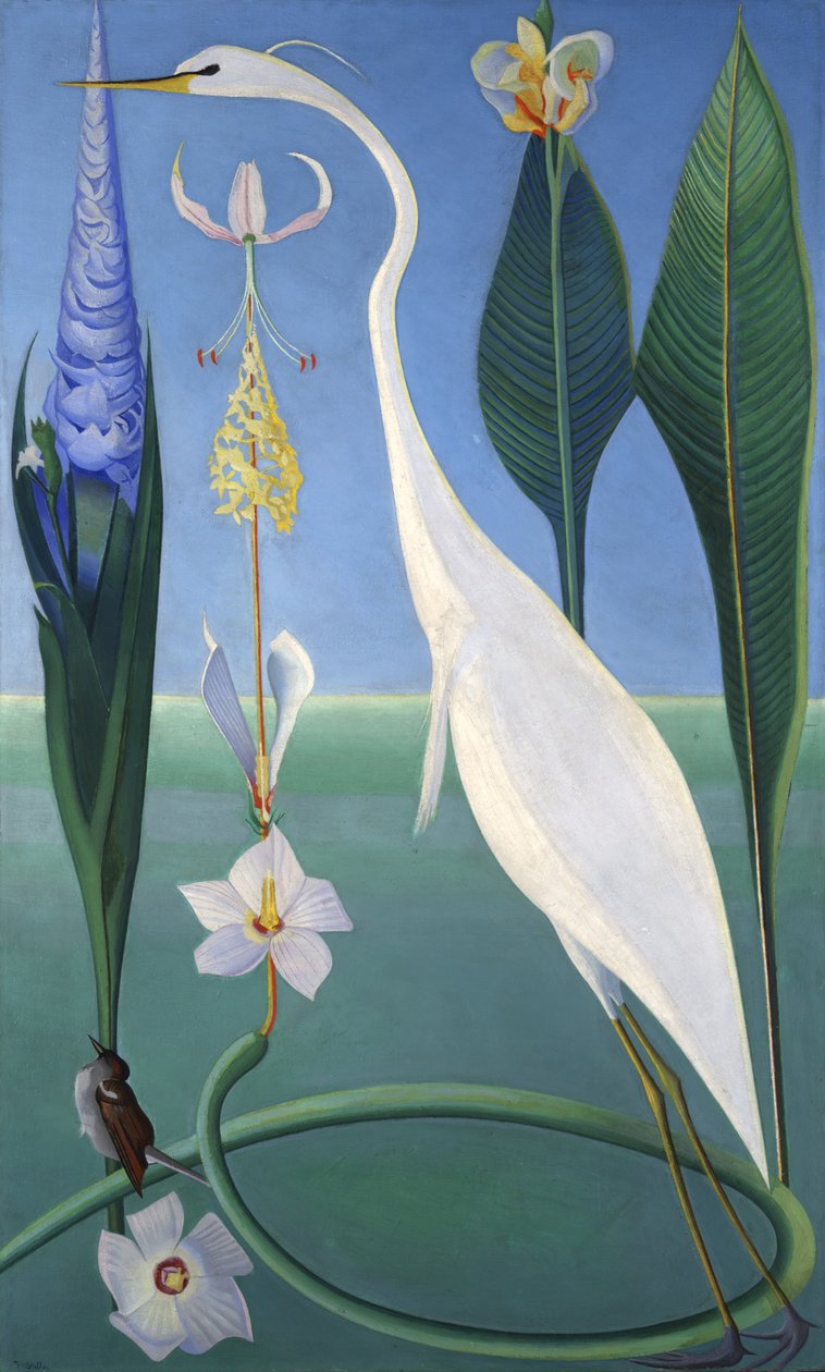 Den hvide hejre af Joseph Stella