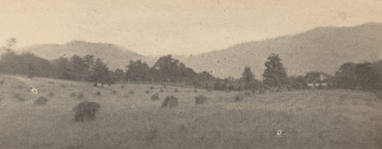 Landskab med træer og bjerge,ca. 1900 (foto) af Joseph T. Keiley
