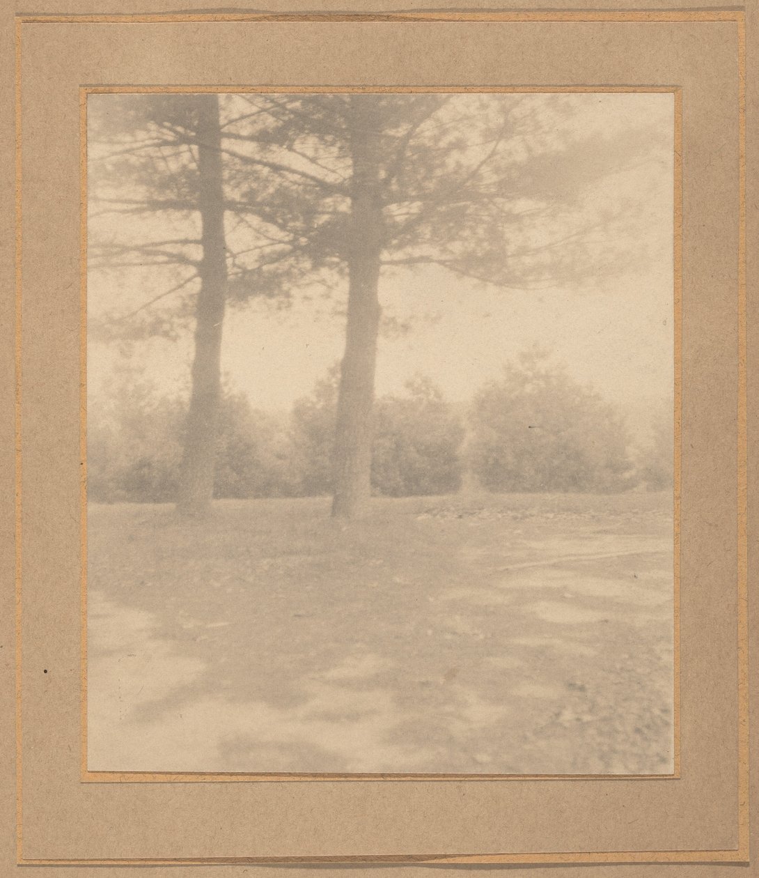 Landskab med træer,ca. 1900 (foto) af Joseph T. Keiley