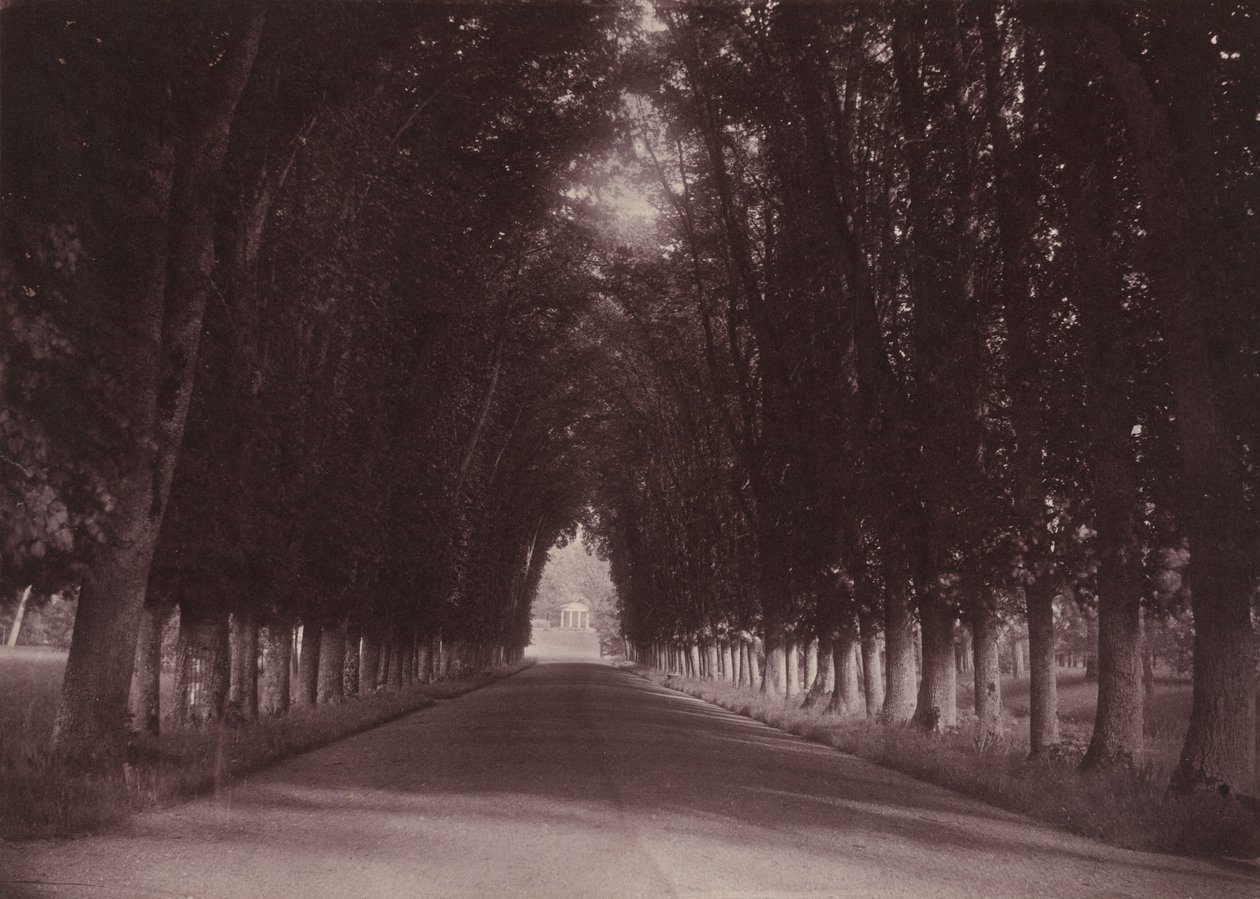 Indkørsel, Château de Grand-Vaux, Savigny-sur-Orge, familien Vigiers hjem, ca. 1855 (foto) af Joseph Vigier