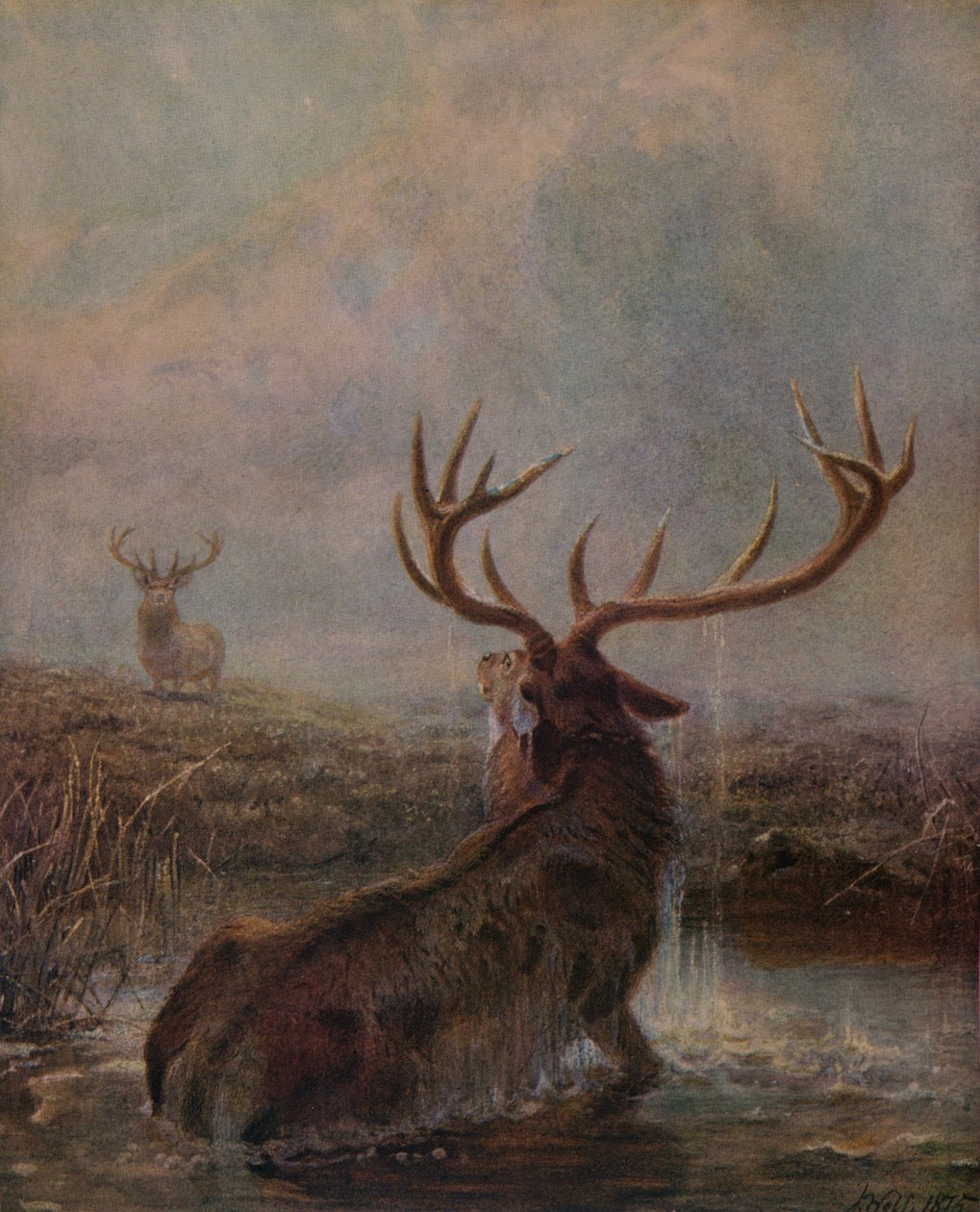 Afbrudt, 1875, 1938 af Joseph Wolf