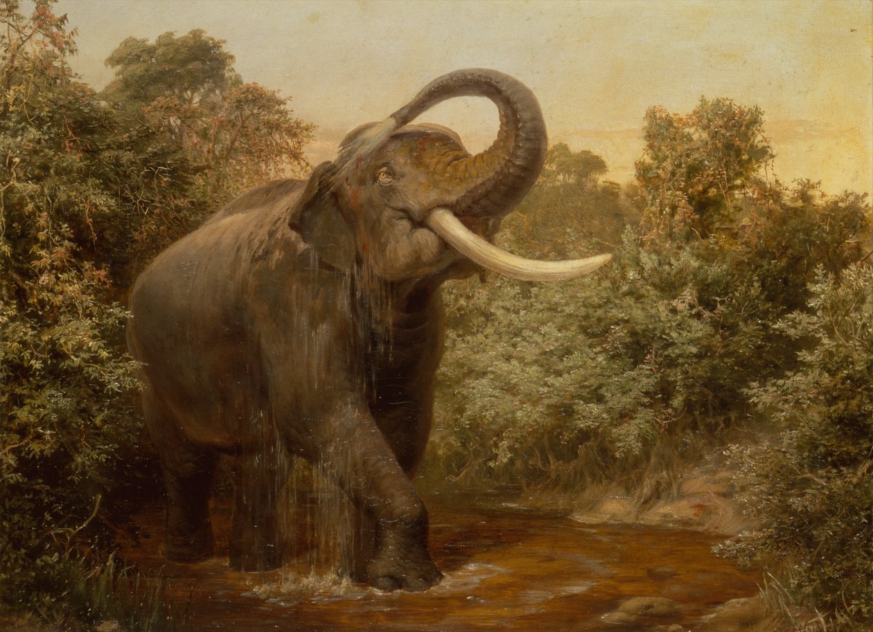 The Monster Tusker (olie på lærred) af Joseph Wolf