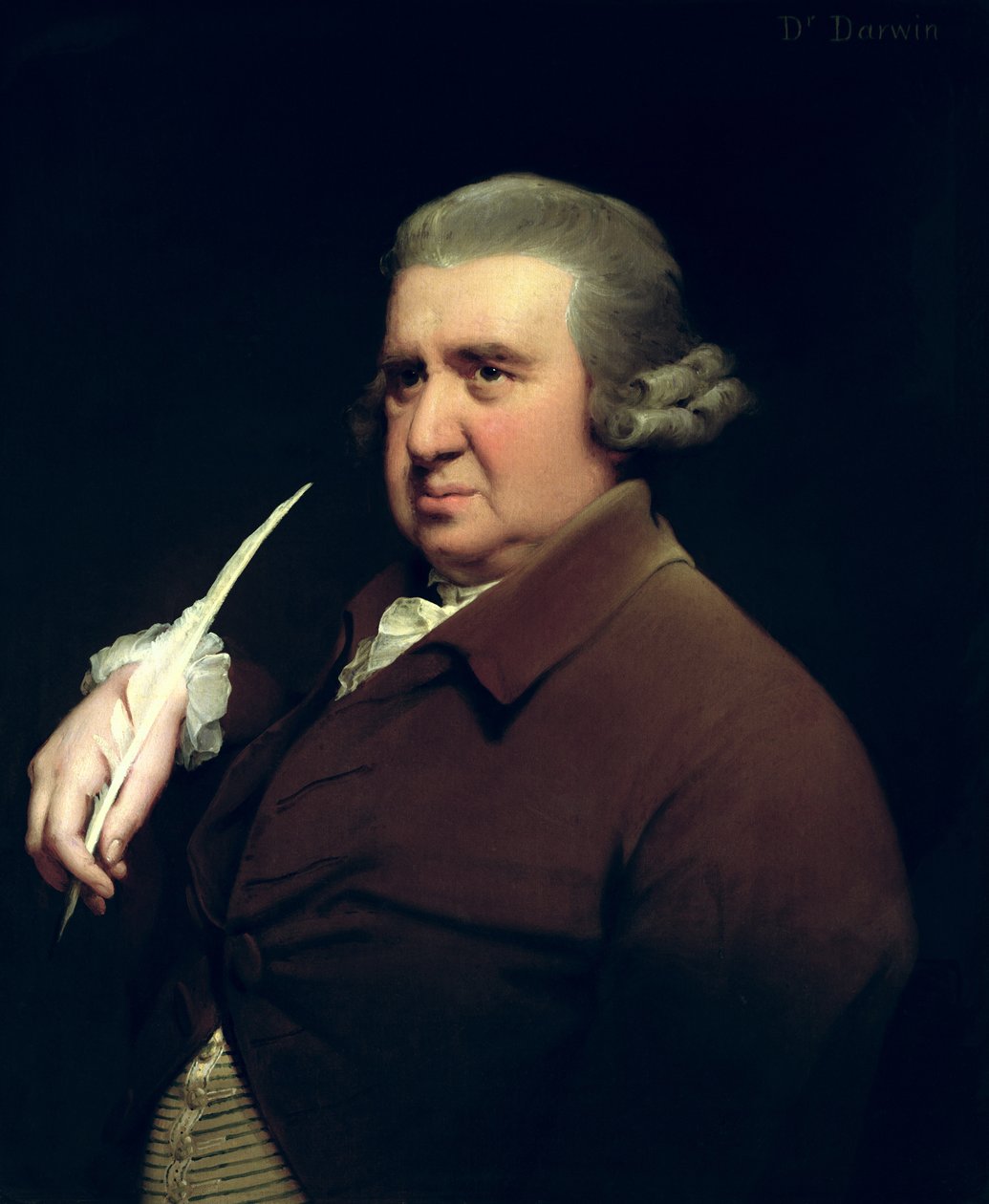 Portræt af Dr. Erasmus Darwin (1731-1802) videnskabsmand, opfinder og digter, bedstefar til Charles Darwin af Joseph Wright of Derby
