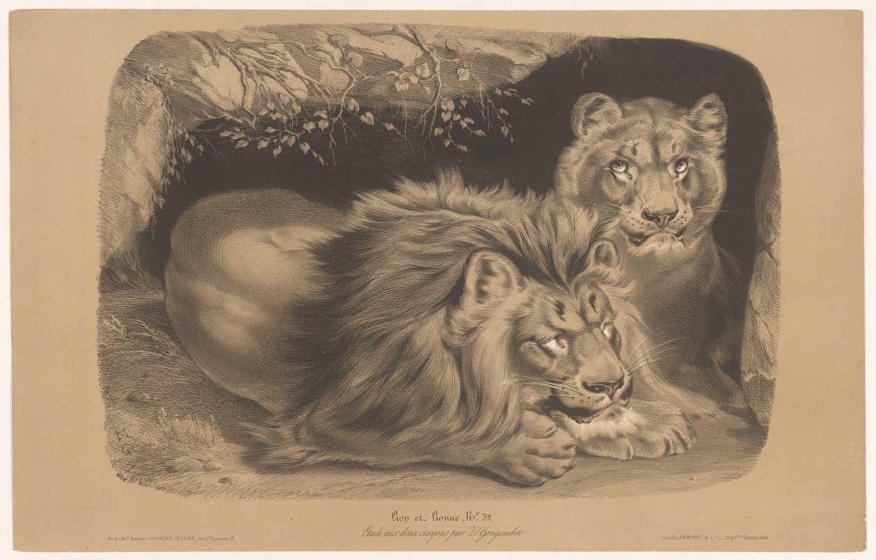 løve og løvinde Lion et Lionne (titel på objekt) Dyreundersøgelser i to typer kridt (serietitel) Etude aux deux farveblyanter af Z. Gengembre (serietitel på objekt) af Joseph Zephyris Gengembre