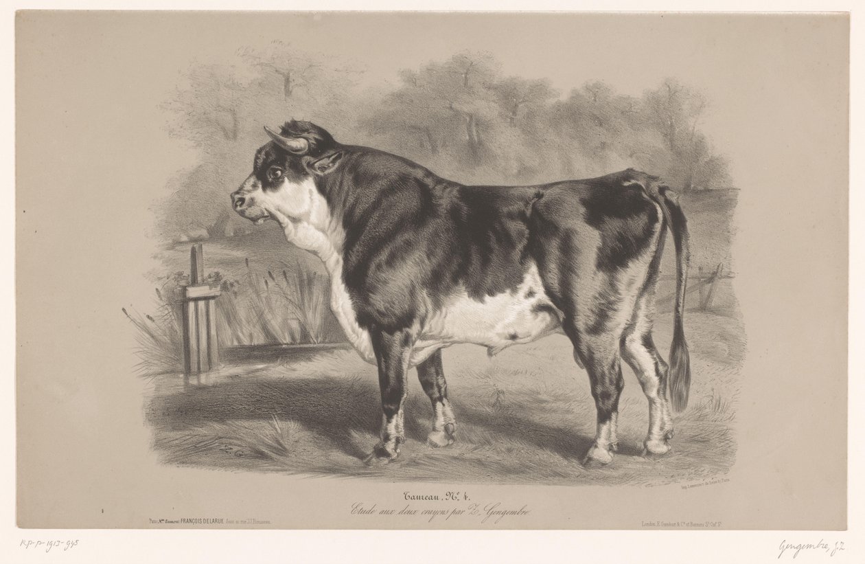 Tyr på en eng Taureau (titel på objekt) Dyreforsøg i to typer kridt (serietitel) Etude aux deux farveblyanter af Z. Gengembre (serietitel på objekt) af Joseph Zephyris Gengembre
