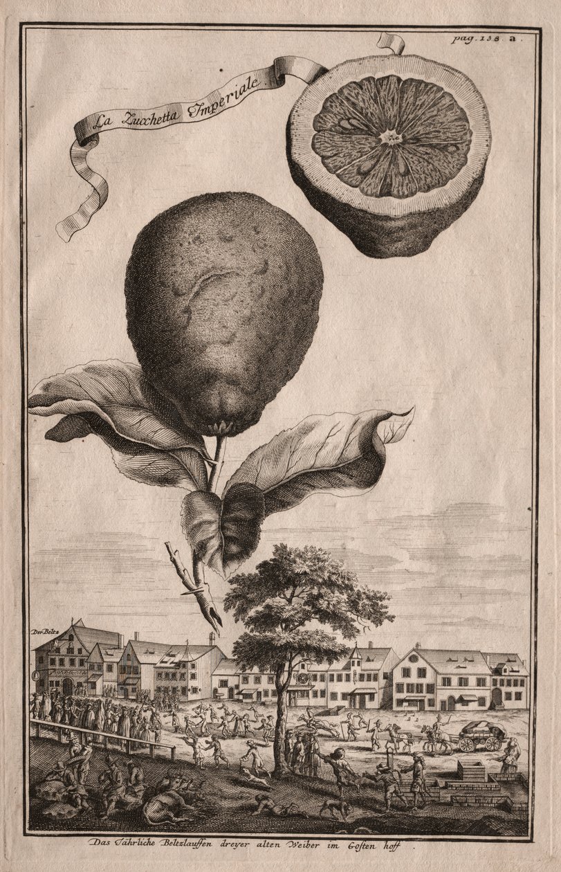 Nurnbergische Hesperides: The Luchetta Impoperiale af Joseph de Montalegre